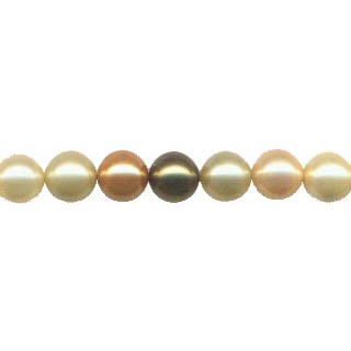 SHELL PEARL GOLD MUTIL 12MM ROUND