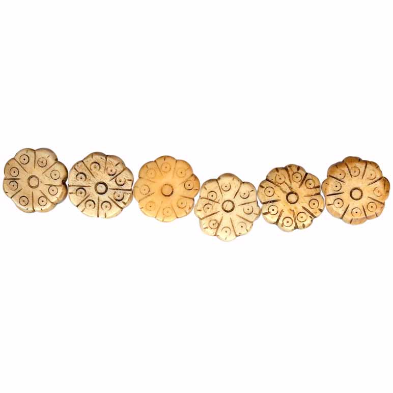 bone beads BT520051