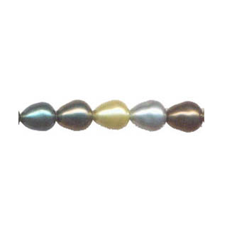 SHELL PEARL DESIGN BEADS10X12#DK.MUL