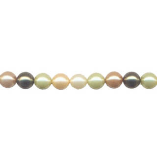 SHELL PEARL GOLD MULTI 8MM ROUND