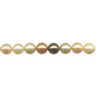 SHELL PEARL GOLD MUTIL 10MM ROUND