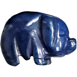 PIG