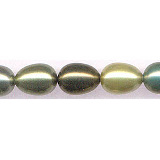 SHELL PEARL DESIGN BEADS11X15#EGG DK.MUL